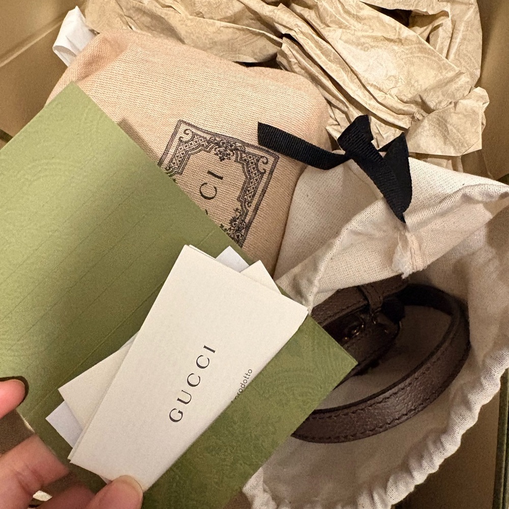 Gucci Beige and Brown Mini Bag with Red and Green Stripe - Picture 3 of 15